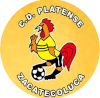 https://img.flllmatic.com/img/football/team/63b0933cc303927659846a4ed54b1522.png